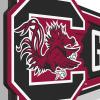 YouTheFan NCAA 3D Wall Pennant, precision-crafted, unique shape made of multiple layers, ready-to-hang, officially licensed and stylish addition for ultimate team fan(South Carolina Gamecocks)
