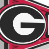 YouTheFan NCAA 3D Wall Pennant, precision-crafted, unique shape made of multiple layers, ready-to-hang, officially licensed and stylish addition for ultimate team fan(Georgia Bulldogs)