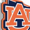 YouTheFan NCAA 3D Wall Pennant, precision-crafted, unique shape made of multiple layers, ready-to-hang, officially licensed and stylish addition for ultimate team fan(Auburn Tigers)