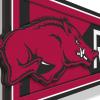 YouTheFan NCAA 3D Wall Pennant, precision-crafted, unique shape made of multiple layers, ready-to-hang, officially licensed and stylish addition for ultimate team fan(Arkansas Razorbacks)