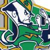 YouTheFan NCAA 3D Wall Pennant, precision-crafted, unique shape made of multiple layers, ready-to-hang, officially licensed and stylish addition for ultimate team fan(Notre Dame Fighting Irish)