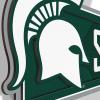 YouTheFan NCAA 3D Wall Pennant, precision-crafted, unique shape made of multiple layers, ready-to-hang, officially licensed and stylish addition for ultimate team fan(Michigan State Spartans)