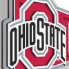 YouTheFan NCAA 3D Wall Pennant, precision-crafted, unique shape made of multiple layers, ready-to-hang, officially licensed and stylish addition for ultimate team fan(Ohio State Buckeyes)