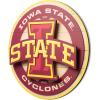 YouTheFan NCAA 3D Circle Backer Wall Art, precision-crafted, multiple layers create striking depth, ready-to-hang, officially licensed and visually stands out(Iowa State Cyclones)