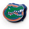 YouTheFan NCAA 3D Die-Cut Wall Art, precision-crafted and laser-cut in the exact shape of your team’s logo, multiple layers create striking depth, ready-to-hang and officially licensed(Florida Gators)