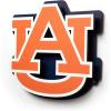 YouTheFan NCAA 3D Die-Cut Wall Art, precision-crafted and laser-cut in the exact shape of your team’s logo, multiple layers create striking depth, ready-to-hang and officially licensed(Auburn Tigers)