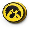 Iowa Hawkeyes