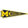Michigan Wolverines