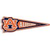Auburn Tigers