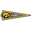 Iowa Hawkeyes