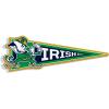 Notre Dame Fighting Irish