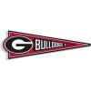 Georgia Bulldogs