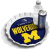 Michigan Wolverines