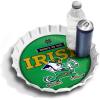 Notre Dame Fighting Irish