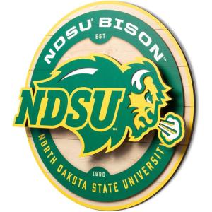YouTheFan NCAA 3D Circle Backer Wall Art, precision-crafted, multiple layers create striking depth, ready-to-hang, officially licensed and visually stands out(North Dakota State Bison)