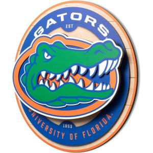 YouTheFan NCAA 3D Circle Backer Wall Art, precision-crafted, multiple layers create striking depth, ready-to-hang, officially licensed and visually stands out(Florida Gators)