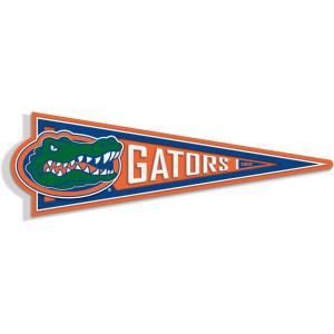 YouTheFan NCAA 3D Wall Pennant, precision-crafted, unique shape made of multiple layers, ready-to-hang, officially licensed and stylish addition for ultimate team fan(Florida Gators)